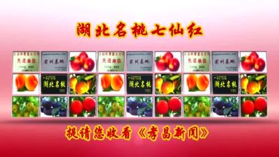 2022年5月26日《孝昌新闻》