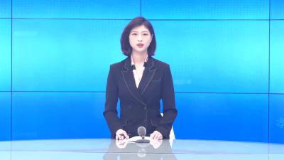 --“叮当护未联盟”普法宣传团队正式成立