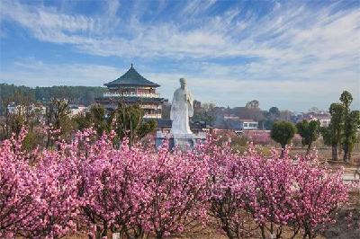孝昌这条乡村旅游线路火遍全国！赏花踏青、田园观光、农事采摘...
