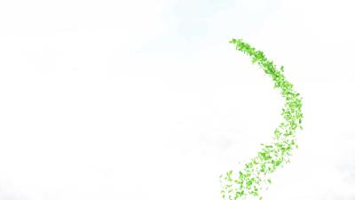 --孝昌：全域旅游  花开全域