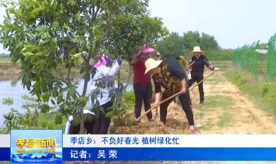 季店乡：植树造林扮靓乡村振兴底色！