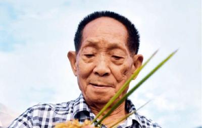 习近平说，“袁隆平同志是一个楷模”