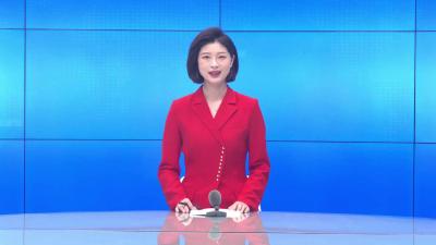 --县“联企业、送政策、解难题、稳主体”第七专班召开调研座谈会