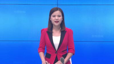 --白沙镇：体验采摘乐趣  共享“梅”好时光