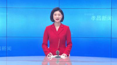 --县“联企业、送政策、解难题、稳主体”第四专班召开调研座谈会