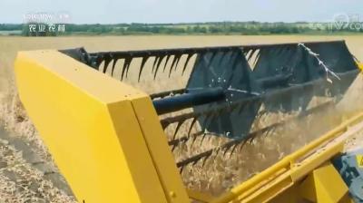 大国“粮”策 | 有了高科技，如今的农业生产像科幻大片！