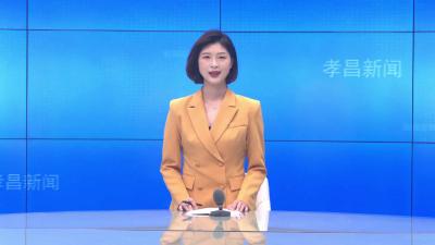 --县“联企业、送政策、解难题、稳主体”第十专班召开帮扶活动专题会