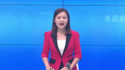 --县林业局开展松褐天牛无人机防治