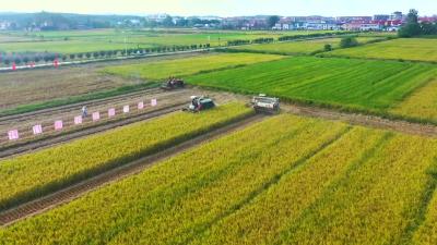 2022年6月25日《孝昌新闻》