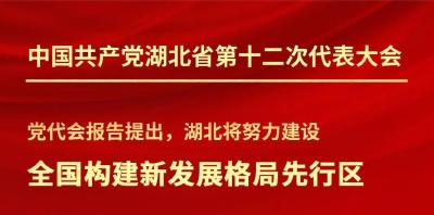 未来5年，湖北这样干！