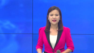 --我县开展油茶高产高效技术培训