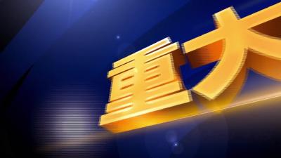 --聚焦蒸汽行业！孝昌这一重点项目加紧建设中