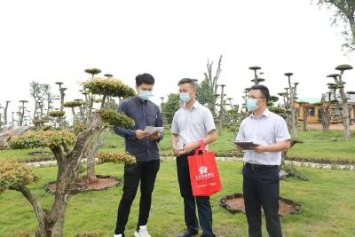 孝昌农商银行“花木贷”为绿色产业注入新动能