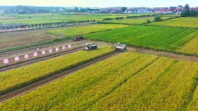 2022年7月13日《孝昌新闻》