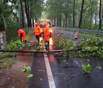 行道树倒伏成“拦路虎”   孝昌公路人雨夜及时排险保畅通