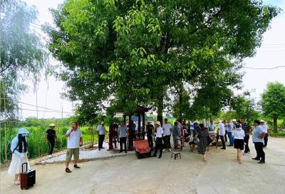 邹岗镇组织开展人居环境整治现场拉练活动 以拉练促提升 以评比促整改