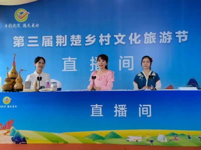 相聚“村游”盛会！孝昌亮相第三届荆楚乡村文化旅游节！