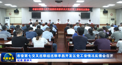 市委第七交叉巡察组巡察孝昌开发区党工委情况反馈会召开