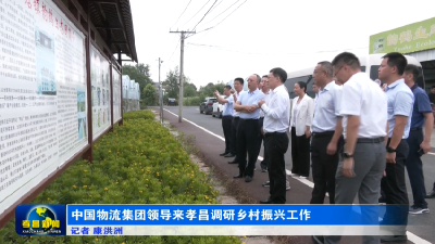 中国物流集团领导来孝昌调研乡村振兴工作