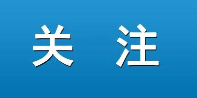 征集“三假”线索！孝昌公布举报电话！