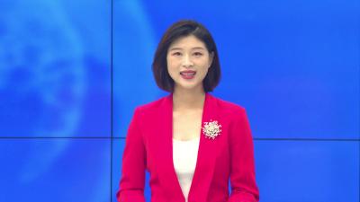 --湖北工业职业技术学院到我县开展暑期“三下乡”活动