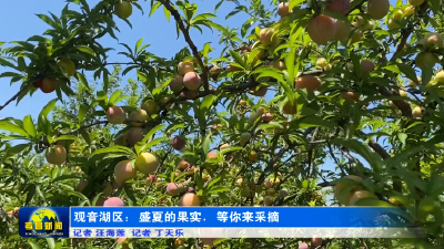观音湖区：盛夏的果实  等你来采摘