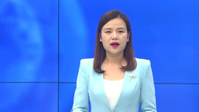 --王店镇东河村：发展实力产业  带动乡村振兴