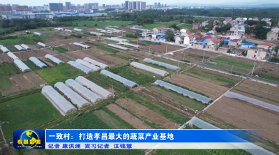 一致村：打造孝昌最大的蔬菜产业基地