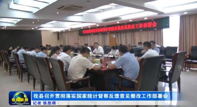 我县召开贯彻落实国家统计督察反馈意见整改工作部署会