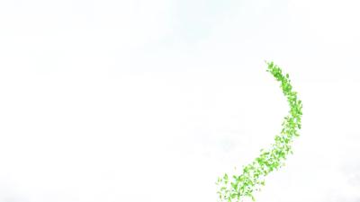 --全省褒扬纪念业务培训班在孝昌举行