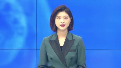 --黄艳红督办省级“除四害”先进城区复审市级初审迎检工作