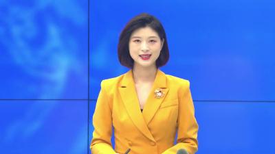 --李惠芬调研优化营商环境和项目工作