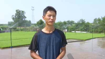 孝昌：4000亩太子稻育秧忙！