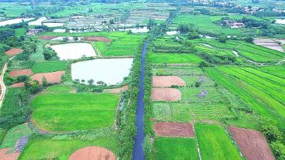 孝昌邹岗：乡贤出资120万元为村民修筑幸福路！