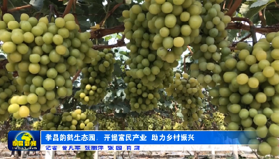 孝昌韵鹤生态园：开掘富民产业 助力乡村振兴