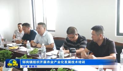 邹岗镇组织开展农业产业化发展技术培训会