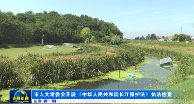 市人大常委会开展《中华人民共和国长江保护法》执法检查