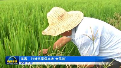 孝昌：打好抗旱保丰收“全民战”