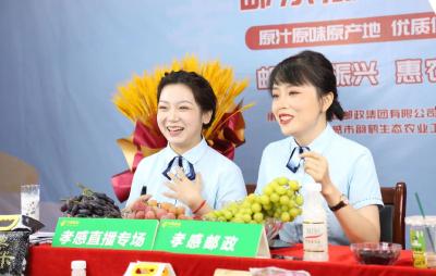 “小屏幕”打开大市场！孝昌邮政直播带货助力乡村振兴