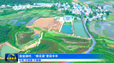 金盆湖村：“桃花源”里话丰年