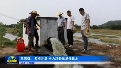 王店镇：多措并举　全力以赴抗旱保供水