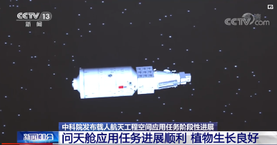 【中科院发布载人航天工程空间应用任务阶段性进展】问天实验舱应用任务进展顺利 植物生长状态良好