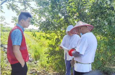 孝昌王店：防火又禁烧，组拳出击“放大招”