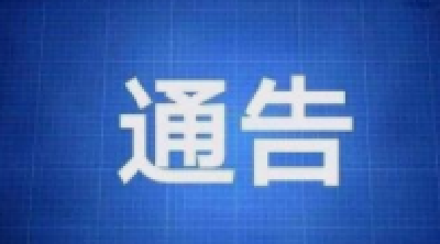 关于社会保险费征管信息系统（标准版）上线及系统切换的通告