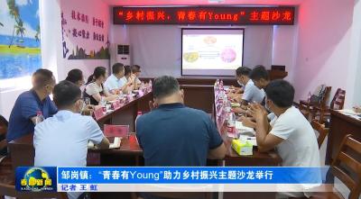 邹岗镇：“青春有Young”助力乡村振兴主题沙龙举行