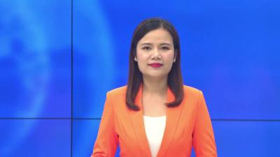 --前方高甜！小河镇葡萄采摘正当时