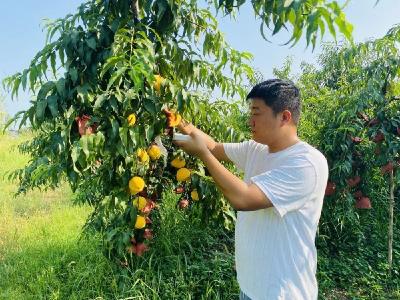 刘明：荒山绘新图 林果带民富