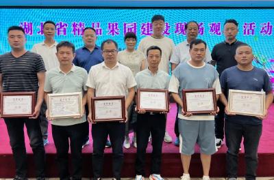 孝昌锦绣黄桃在全省鲜桃品质鉴评会上斩获4金2银