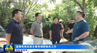 县领导到花西乡督导调研相关工作