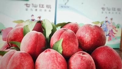 孝昌血桃入选湖北地理标志产业发展十大典型案例